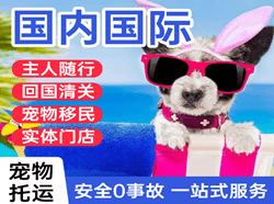 海西德令哈空运国际宠物托运 【国